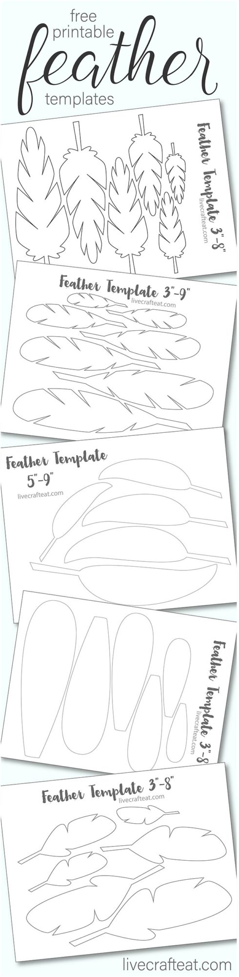 printable turkey feather patterns & templates - free | live craft eat